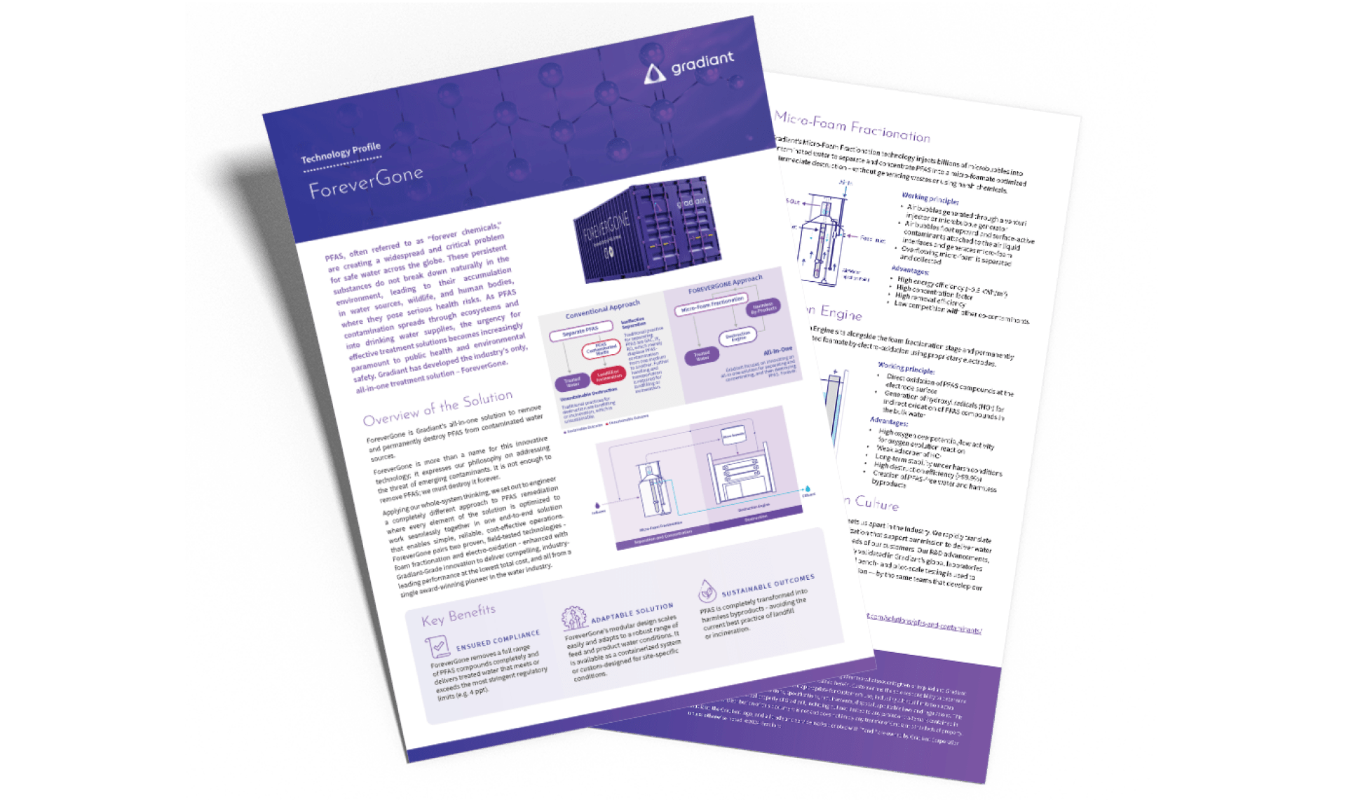 ForeverGone technology profile